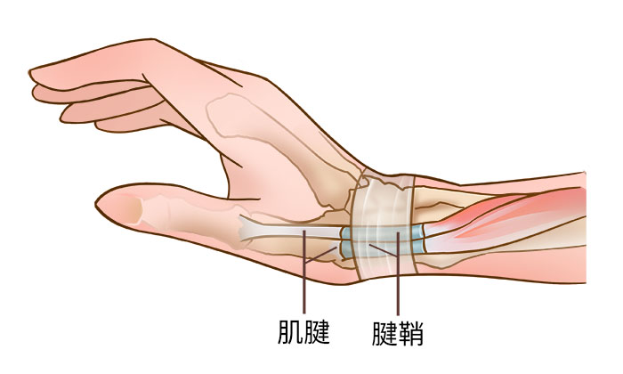 圖片關鍵詞